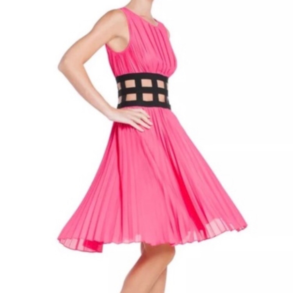 BCBG MaxAzria GISELLE pleated cut out dress